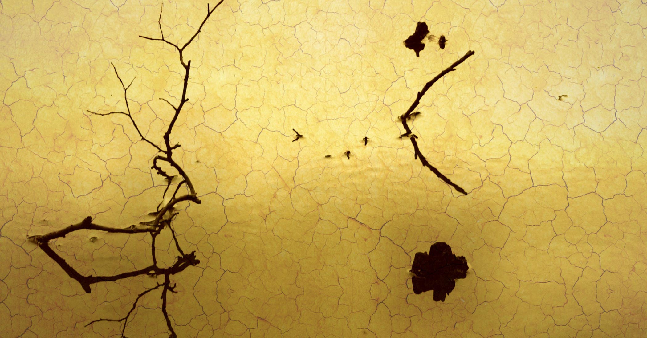 Climate-change-4