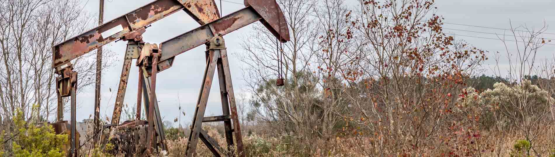 Rededication of contaminated land